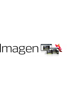 Imagen - система управления медиа и данными mam dam
