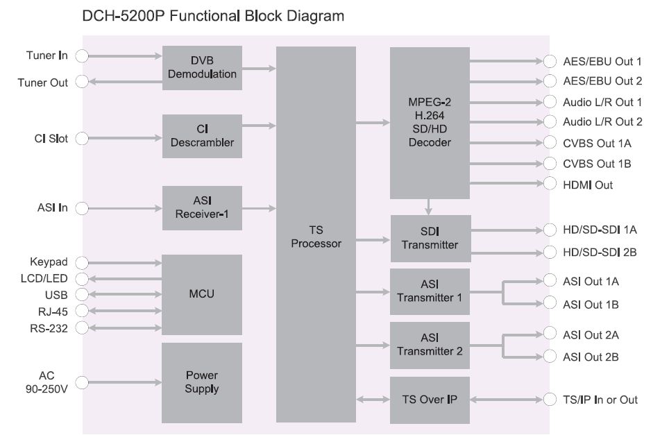 Структурная схема мультиформатного ресивера/декодера DCH-5200P-20S2